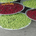 گوجه سبز درجه 1