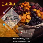 فروش آلبالو خشک