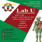 انواع فانتوم ومدل های آناتومی مناسب آزمایشگاه مدارس و دانشگاه و مراکز مهارت های بالینی بیمارستان