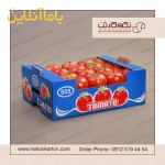 تولید انواع کارتن صادراتی میوه
