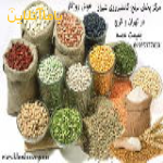 فروش برنج کامفیروزی و عنبربو و حبوبات استان فارس و شیراز بقیمت عمده در تهران کرج و شیراز