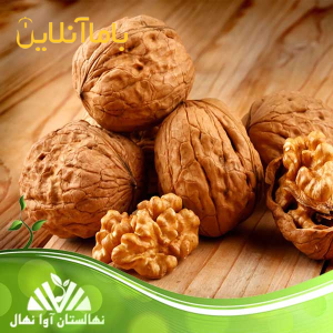 نهال گردو با اصالت و شناسنامه‌دار، مستقیم از نهالستان