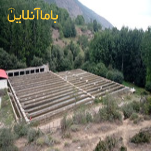 پرورش ماهی