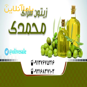 فروش انواع زیتون