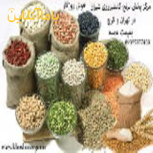 فروش برنج کامفیروزی و عنبربو و حبوبات استان فارس و شیراز بقیمت عمده در تهران کرج و شیراز